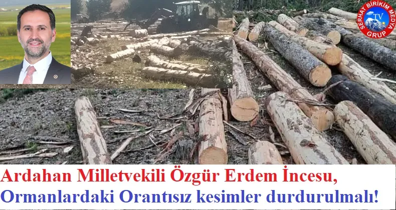 Milletvekili İncesu, Ardahan