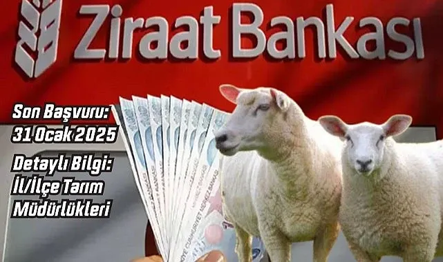 Ziraat Bankası Koyun Kredisi Verecek