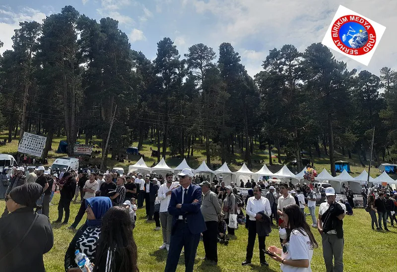 Kars,Göle Kültür ve Kaşar Festivaline aktı..