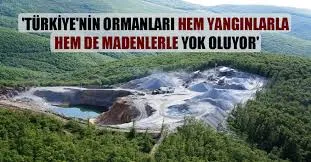 Türkiye’nin Ormanları Hem Yangınlarla Hem de Madenlerle Yok Oluyor!