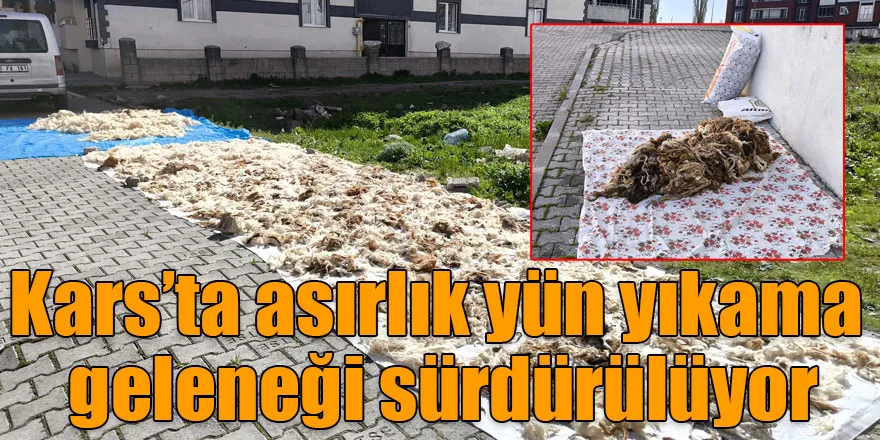 Kars’ta asırlık yün yıkama geleneği sürdürülüyor