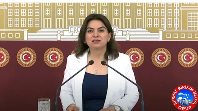 Kars Milletvekili Koçyiğit, 