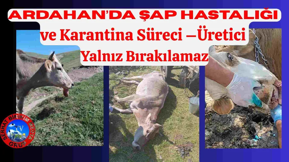 Ardahan’da Şap Hastalığı ve Karantina Süreci – Üretici Yalnız Bırakılamaz!