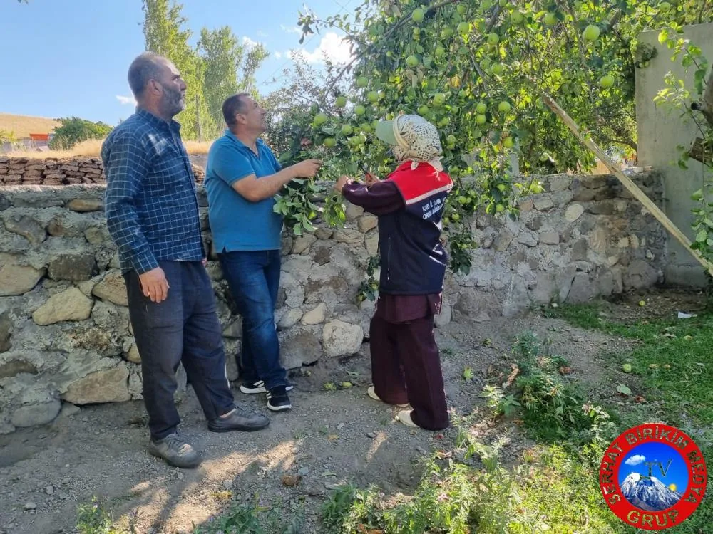 Meyve Ağaçları Aşılanıyor Kars’ın Digor İlçesinde 