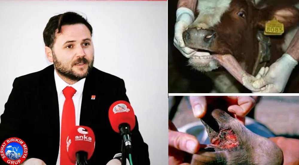 Doç.Dr. Cemalettin AYVAZOĞLU, ŞAP  Çok Tehlikeli 
