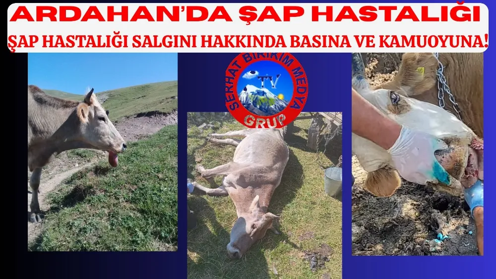 ŞAP HASTALIĞI SALGINI HAKKINDA BASINA VE KAMUOYUNA!