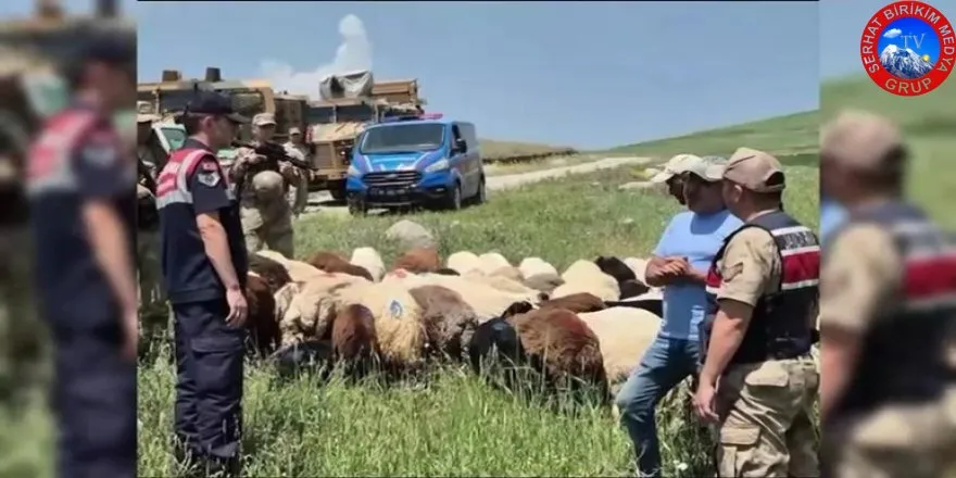 Kars’ta Jandarmanın Yoğun Çalışması Sonuç verdi  kaybolan 65 küçükbaş hayvan, dron ile bulundu