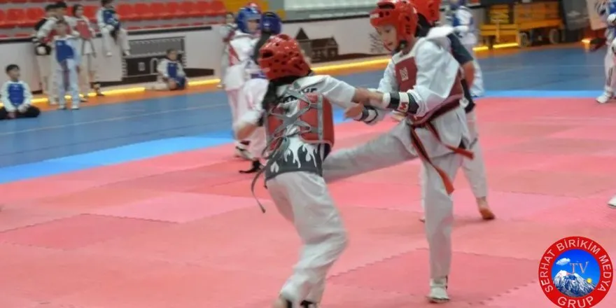 Taekwondo’nun Kalbi Kars’ta Attı