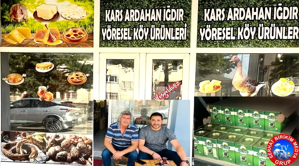 MÜJDE; Gemlik Zeytini ve Yağı Kars Arpaçay’da
