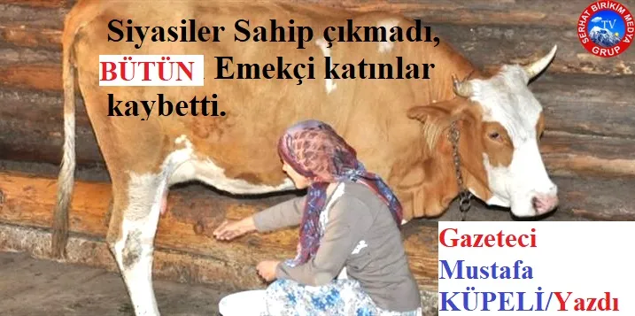 ŞAP Hastalığında Bütün Emekçiler Kaybetti!