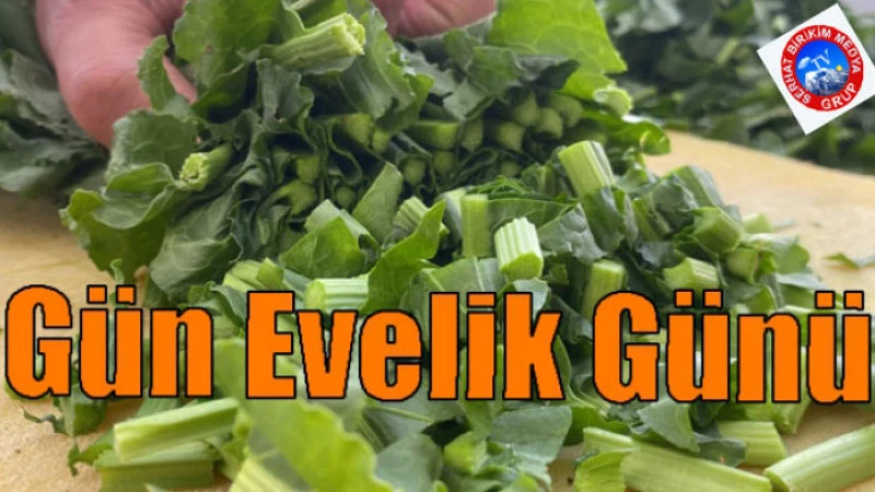 Kadınlar  